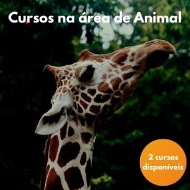 cursos-na-area-de-animal-escola-de-missoes-agape